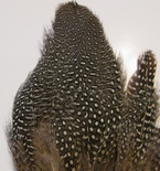 ����� ������� Guinea tail natural